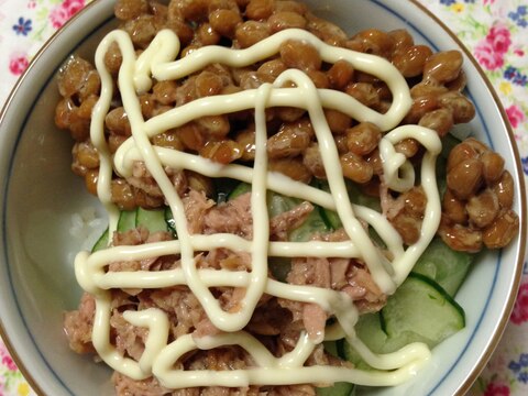 ハムきゅうりツナ納豆マヨ丼